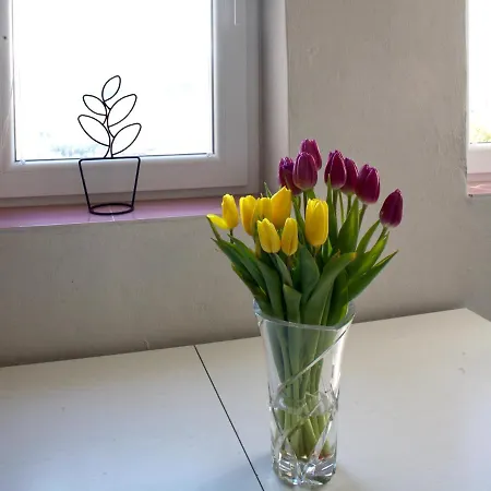 Hana Place Appartement